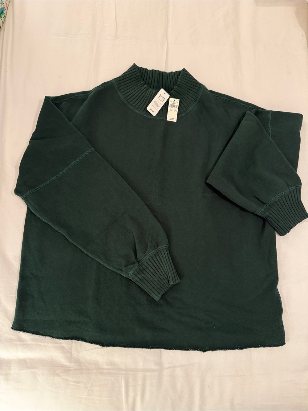 Aerie Layover Mockneck Sweatshirt